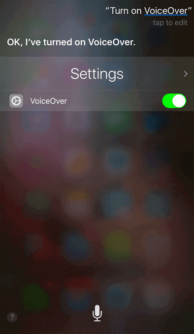 Verwenden Sie die Voiceover-Funktion, um iPhone-Daten zu sichern