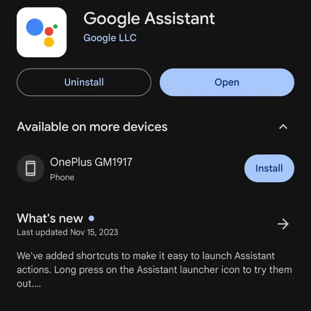 Google Assistant Etwas ist schief gelaufen