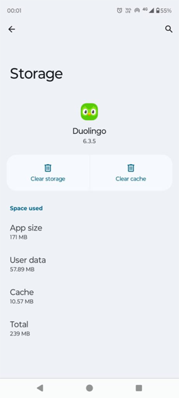 Behebung Duolingo An Error Occurred Try Again Later