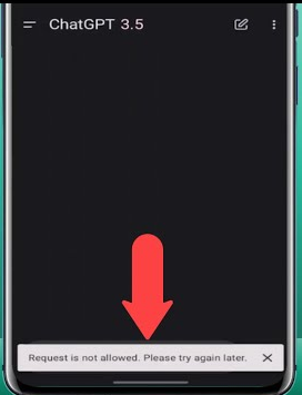 Fehler ChatGPT Request Is Not Allowed