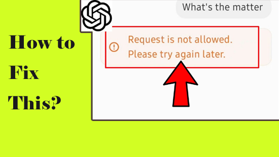 Fehler ChatGPT Request Is Not Allowed
